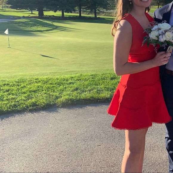 Deep V-neck Party Dress - Picture 4 of 4